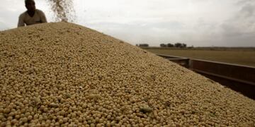 Condenaron a la agropecuaria Nidera por explotar trabajadores en campos de Santa Fe