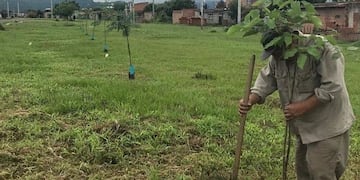 Tareas de forestación del municipio de Salta\u002E (Municipalidad de Salta)