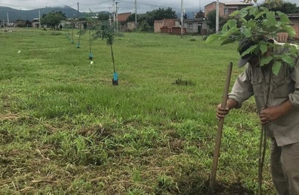 Espacios verdes: planean recuperar 278 plazas de la ciudad de Salta