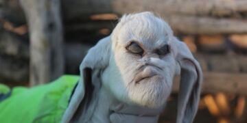 Nació en San Luis un cabrito con rasgos humanos\u002E