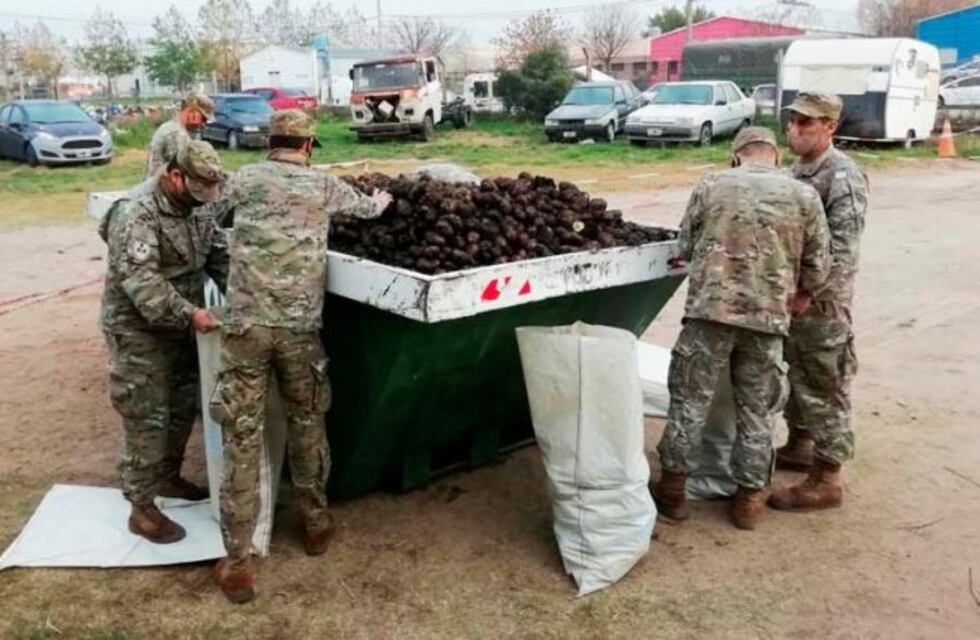 La Fundación Cosecha Completa donó 10 toneladas de papas para la ciudad de Santa Rosa