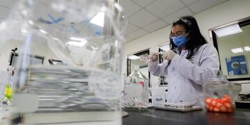 Sigue subiendo la curva: hubo 1.950 casos de coronavirus y 16 muertes