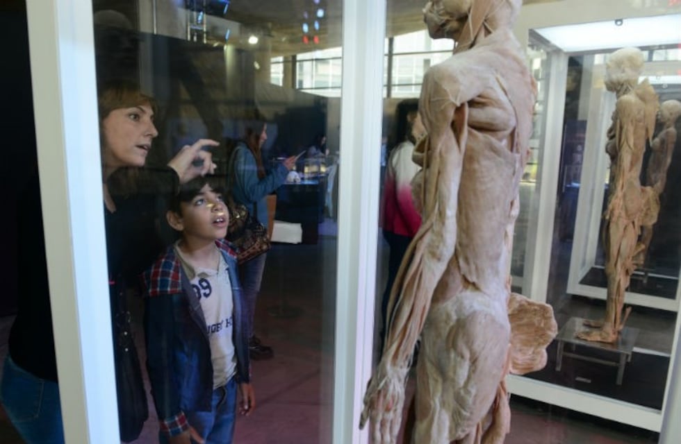 A pesar de la polémica, más de 15 mil personas recorrieron la Muestra Cuerpo Humano en Córdoba