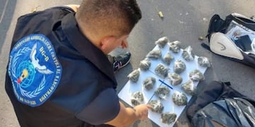 Detenidos con cogollos de marihuana en Potrero de los Funes