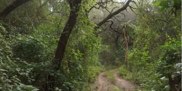 El Impenetrable: estudian alteraciones y cambios en el uso de los recursos naturales\u002E (Web)\u002E