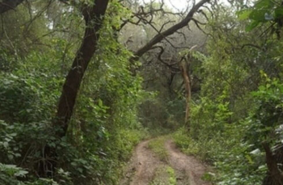 El Impenetrable: estudian alteraciones y cambios en el uso de los recursos naturales