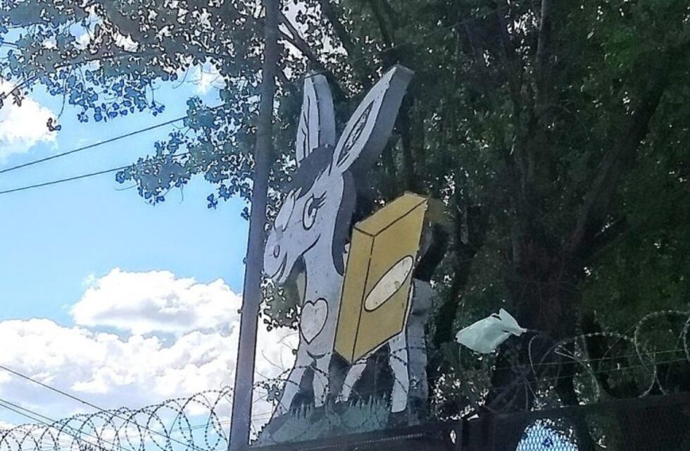 Increíble: se robaron dos burros que tenían de mascotas en Cachamai