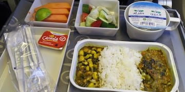Un pasajero de Singapore Airlines se topó con un desagradable ingrediente en su comida\u002E