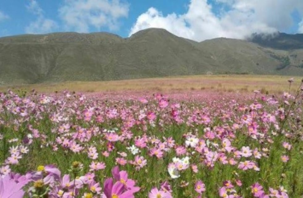 Buscan potenciar la oferta turística en el Mollar