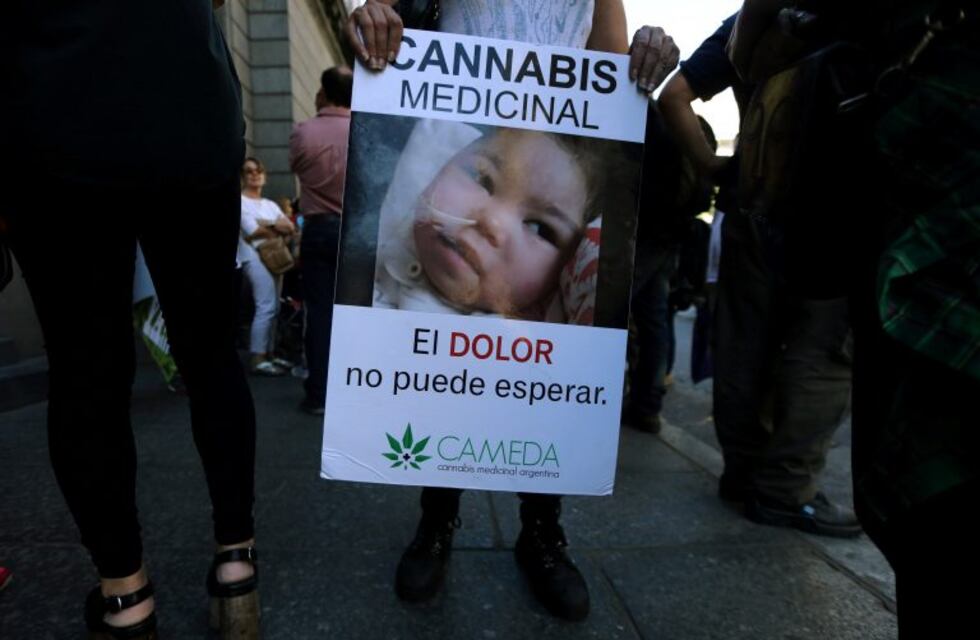 El gobierno promulgó la ley que habilita el uso medicinal del cannabis