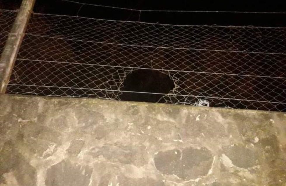 Robo en la Dirección de Deportes de Río Ceballos