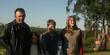 La renovación de viejos yerbales comenzó a dar buenos resultados informó el INYM