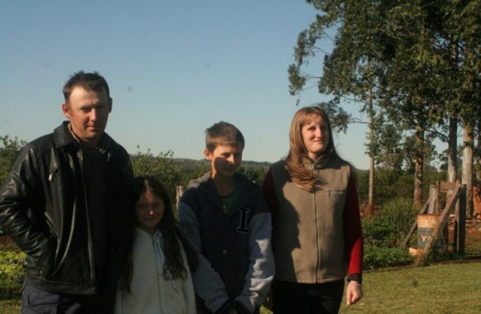 La renovación de viejos yerbales comenzó a dar buenos resultados informó el INYM