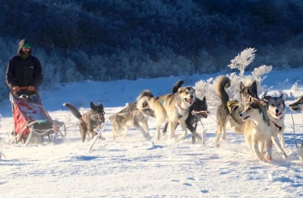 Ushuaia se prepara para la cuarta edición del Encuentro Musher