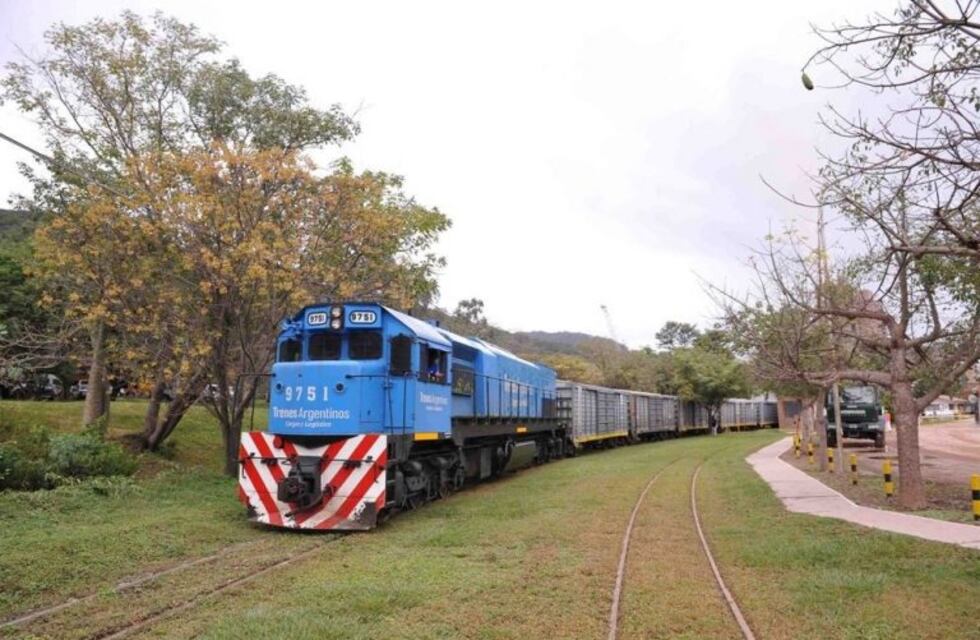 Con palos y piedras, 50 ladrones frenaron un tren y se robaron hasta el equipo de radio