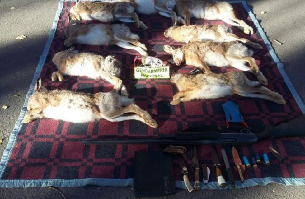 Seis chilenos ingresaron ilegalmente a Malargue para cazar liebres