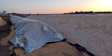 La Sociedad Rural de Rosario sostiene que la rotura de silbolas corresponde a \