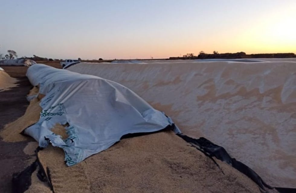 En Santa Fe esperan respuestas de la Nación por actos de vandalismo rural