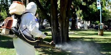 Dengue en Tucumán.