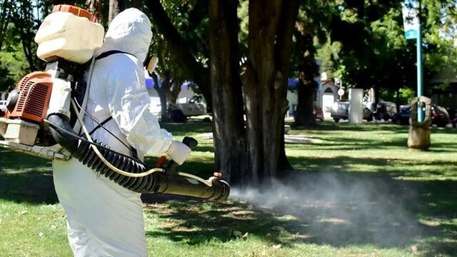 Dengue en Tucumán.