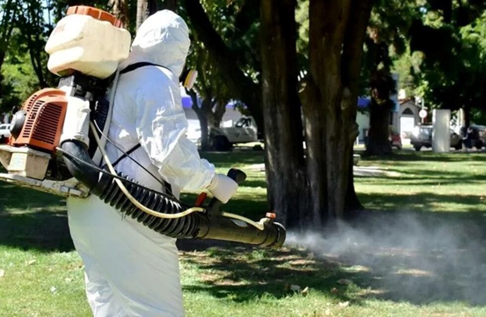 Se confirmaron 2.229 casos de dengue en la provincia