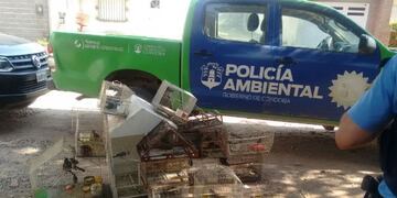 El tráfico de fauna en Córdoba y todo lo que se secuestró en 2017 en los operativos de Policía Ambiental\u002E