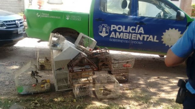 El tráfico de fauna en Córdoba y todo lo que se secuestró en 2017 en los operativos de Policía Ambiental\u002E