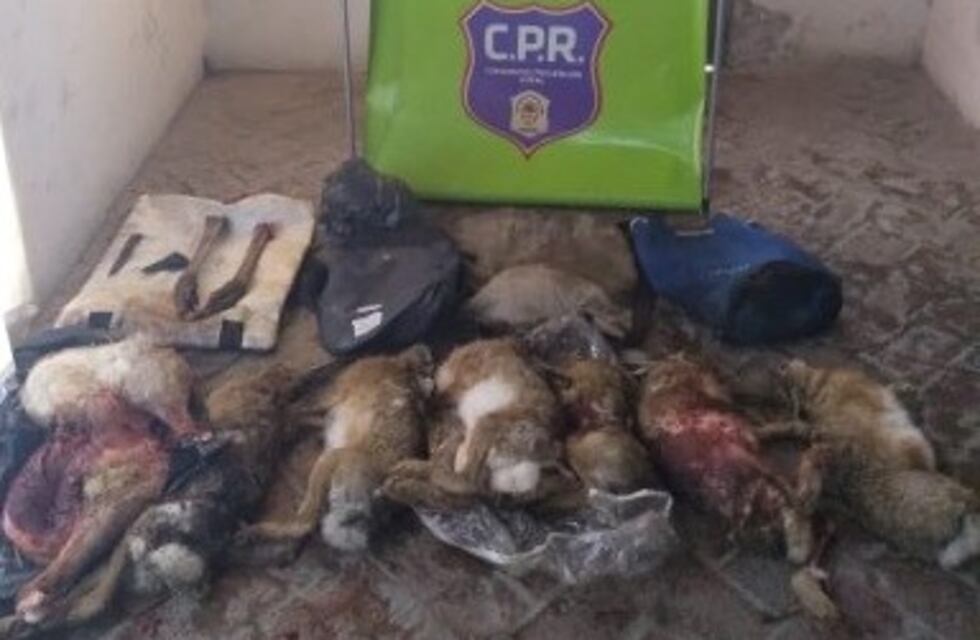 Cuatro personas en infracción por realizar caza ilegal