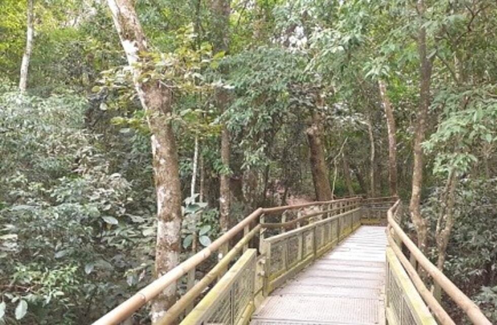 357 vecinos de Puerto Iguazú ingresaron a Cataratas para las caminatas recreativas