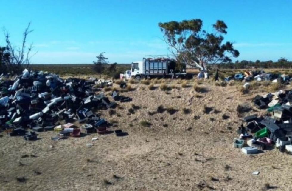 Turismo denunciará a las pesqueras que arrojaron 4.000 mil cajones en Península Valdés