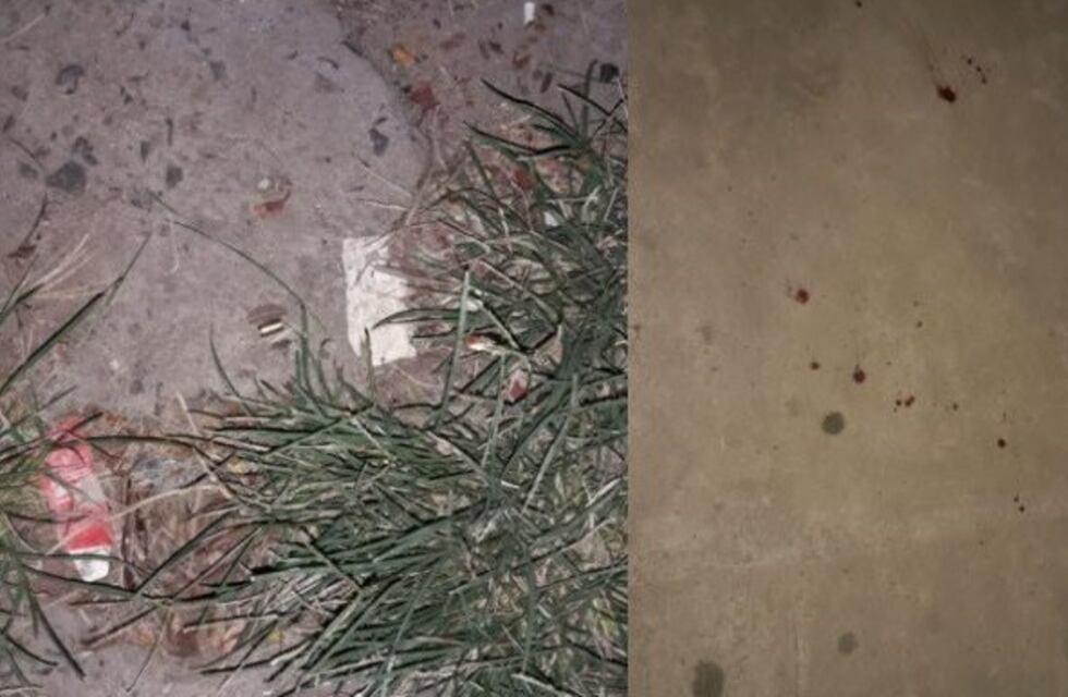 Cinco trapitos intentaron robar una moto y fueron baleados por un conductor