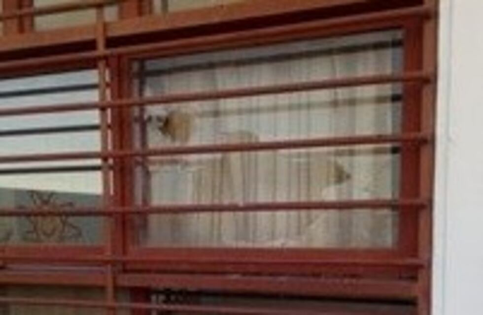 Vándalos apedrearon la Escuela 50 en Bahía Blanca