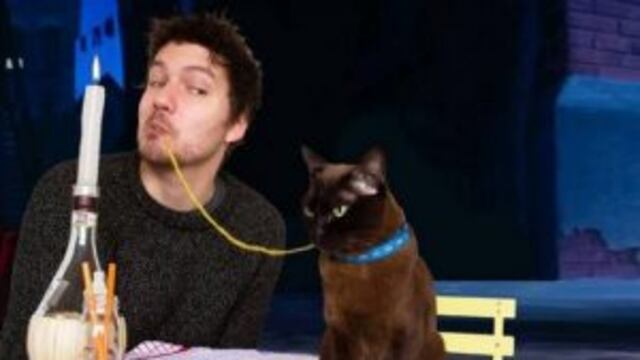 Cine y gatos.