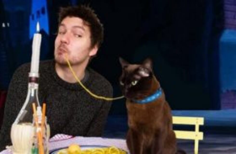 Ellos lograron combinar lo mejor del mundo: el cine y los gatos