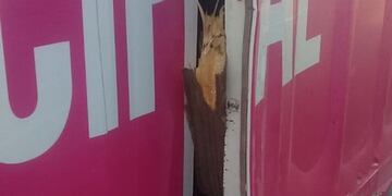 El móvil de castración de mascotas de la Municipalidad fue vandalizado en barrio 16 de noviembre\u002E (Prensa Municipalidad)