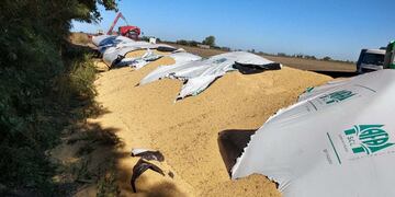 Buscan a una banda que robó 170 toneladas de soja y 90 de maíz en Metán y Anta