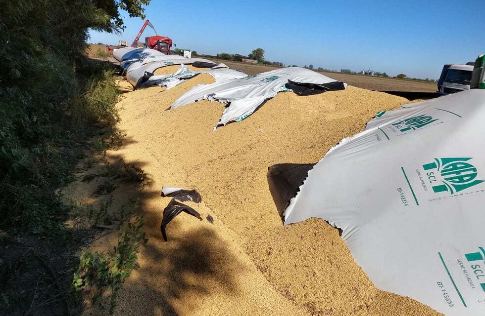 Buscan a una banda que robó 170 toneladas de soja y 90 de maíz en Metán y Anta