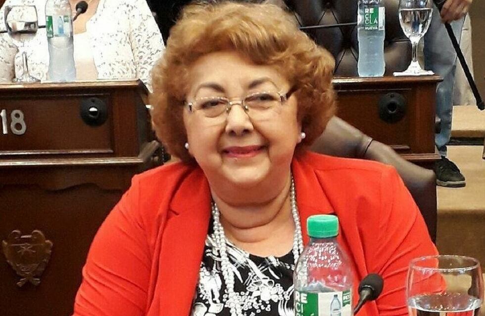 Quién era Silvia Sayago, la diputada de Santiago del Estero que falleció