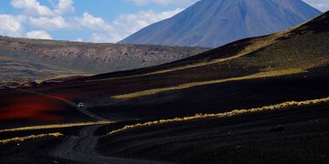 WCS con fondos de la Fundación Wyss comprará más de 370 mil hectáreas en La PAyunia las que serán donadas al Gobierno de Mendoza. Archivo/Los Andes