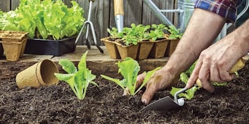 huerta urbana
