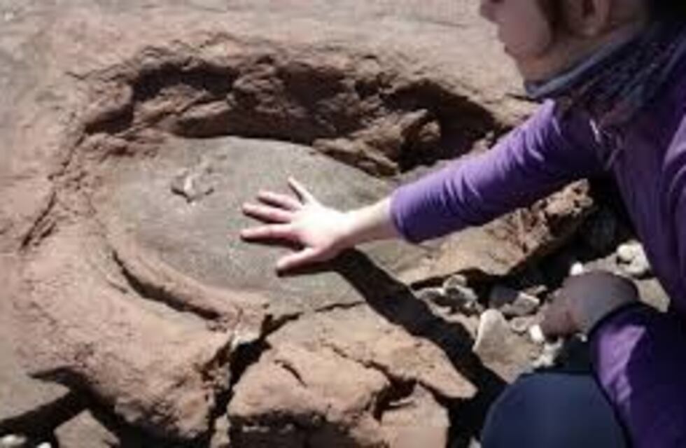 Pehuen Co: visita guiada a la Reserva Natural