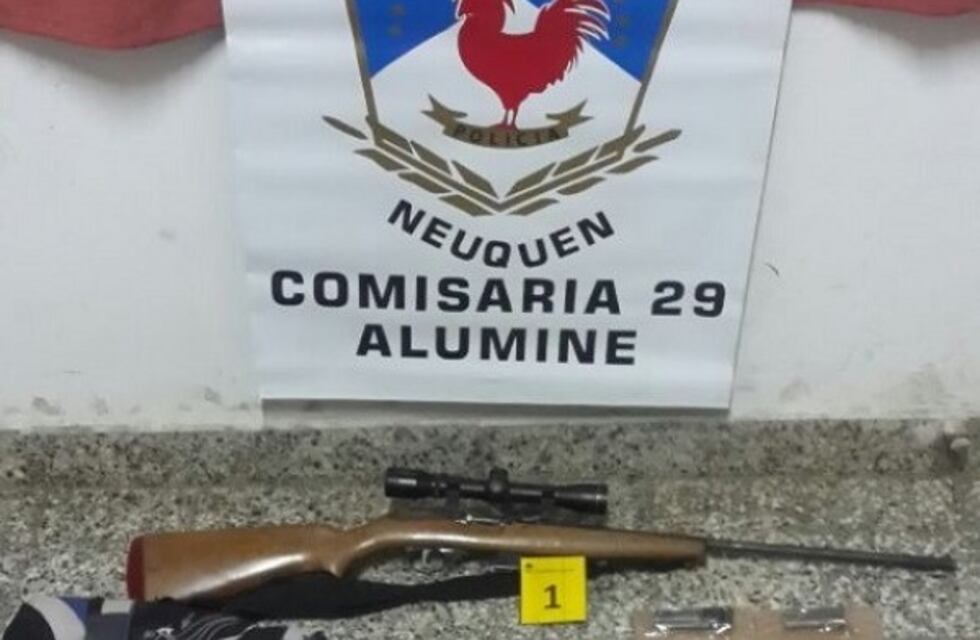 Aluminé: secuestro de armas utilizadas para la caza furtiva