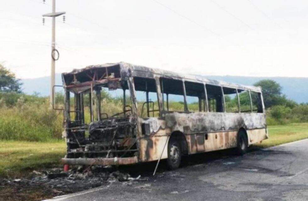 Un colectivo Travelsur se prendió fuego y ardió por completo