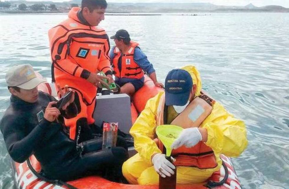 Analizan derrame de hidrocarburos en la costa de Caleta Córdova
