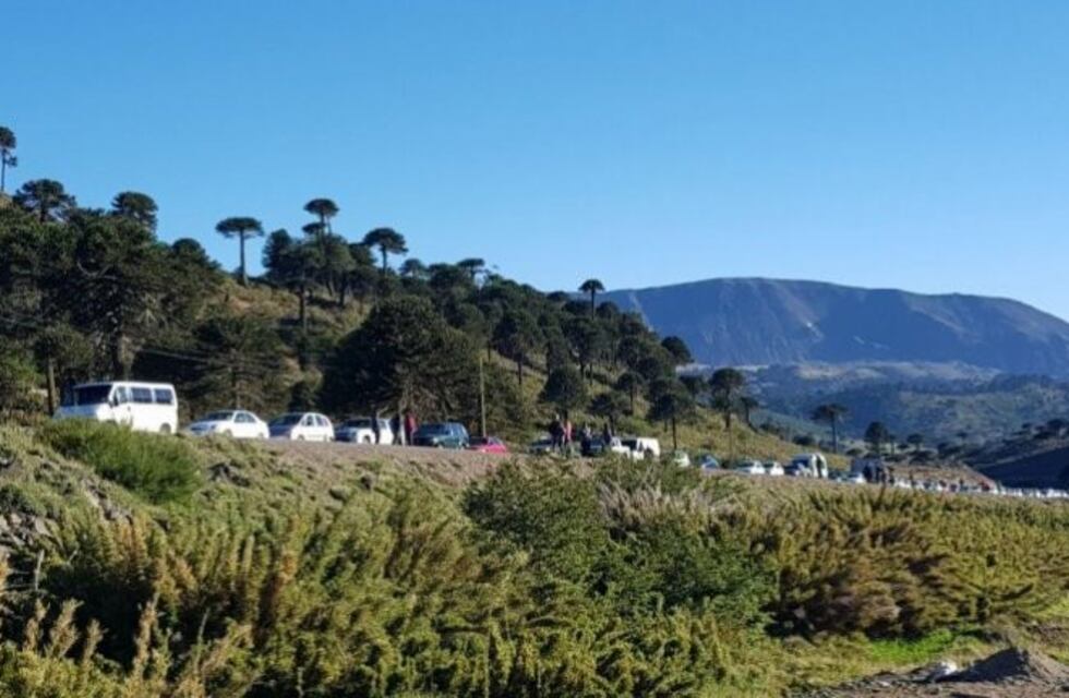 Demoras en el paso Internacional de Pino Hachado por el feriado