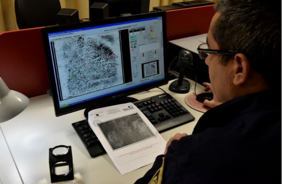 Más de 200 personas por día tramitan el certificado de buena conducta