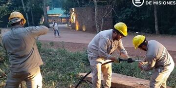 EMSA realiza trabajos en Iguazú\u002E (Energía de Misiones)