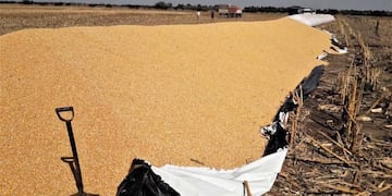 Silobolsa roto en la Ruta 5 (Diario Textual)