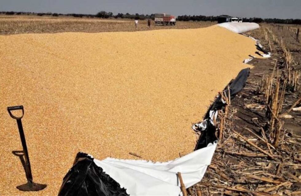 Apareció un silobolsa roto en la Ruta 5, a pocos kilómetros de Santa Rosa
