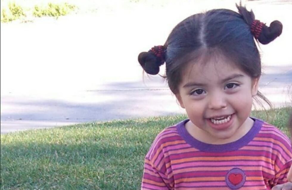 El papá de Delfina dijo que "la hipótesis más firme es que cayó en un desagüe"